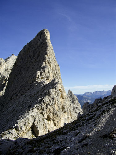 Rosengarten10_CIMG4388