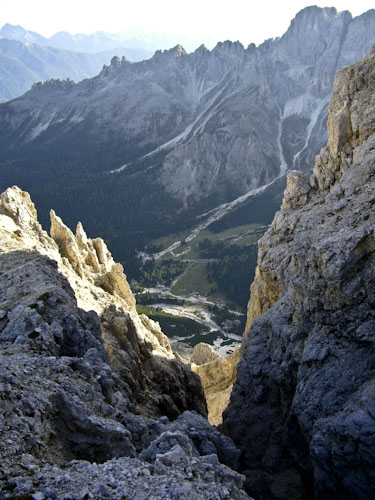 Rosengarten10_CIMG4392