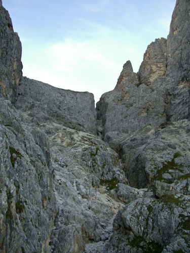 Rosengarten10_CIMG4403