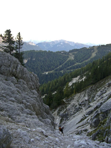 Rosengarten10_CIMG4405