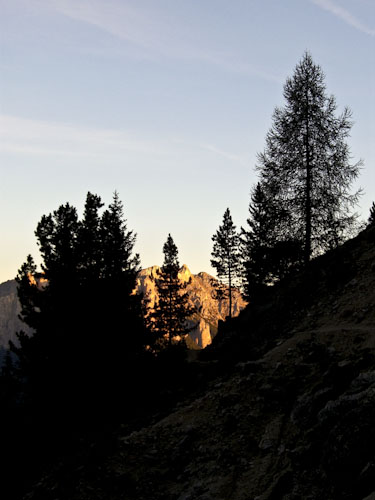 Rosengarten10_CIMG4407