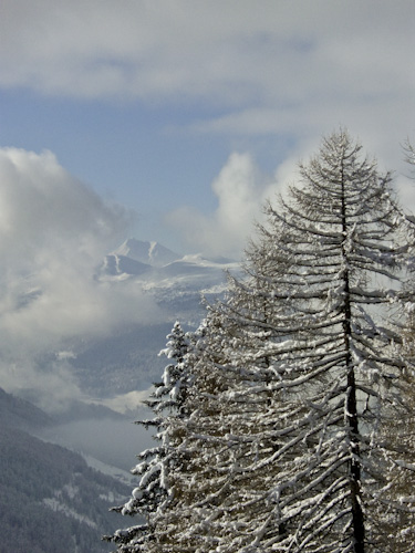 k.schuetz_CIMG4633