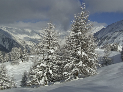 k.schuetz_CIMG4671