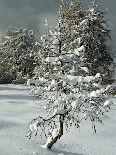 k.schuetz_CIMG4673
