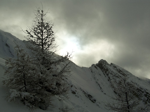 k.schuetz_CIMG4748