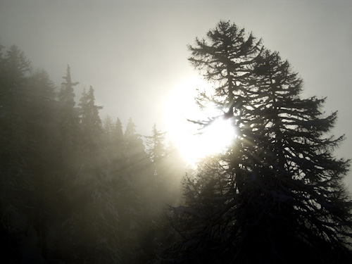 k.schuetz_CIMG4796