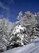 k.schuetz_CIMG4645