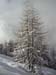 k.schuetz_CIMG4665