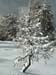 k.schuetz_CIMG4673