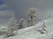 k.schuetz_CIMG4697