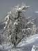k.schuetz_CIMG4699