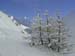 k.schuetz_CIMG4747