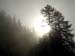 k.schuetz_CIMG4796