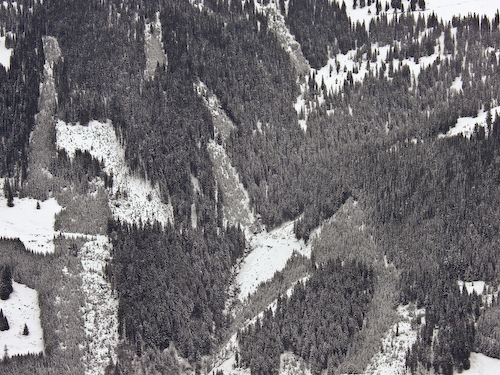 CIMG1329